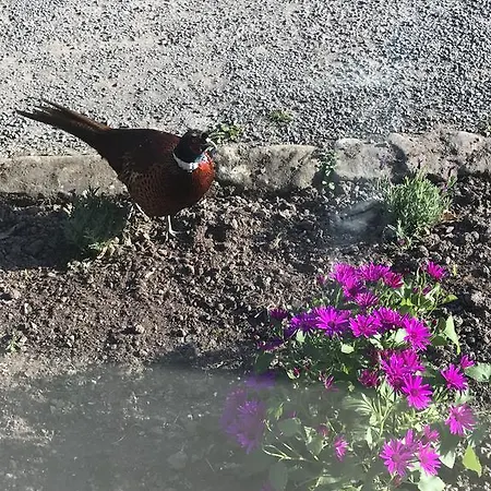 カントリーハウス Mulgrave Country