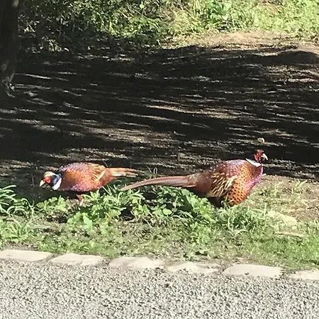 Mulgrave Country カントリーハウス サンドセンド